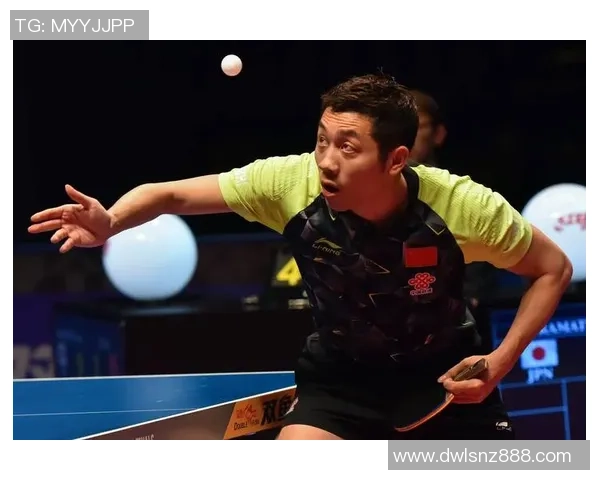 上海羽毛球队实力深度解析及各队员对比分析